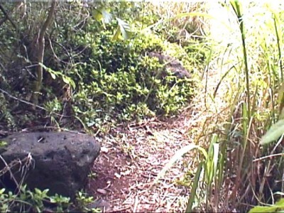 Huge  Boulder  marking  burial site  of our  ancestor